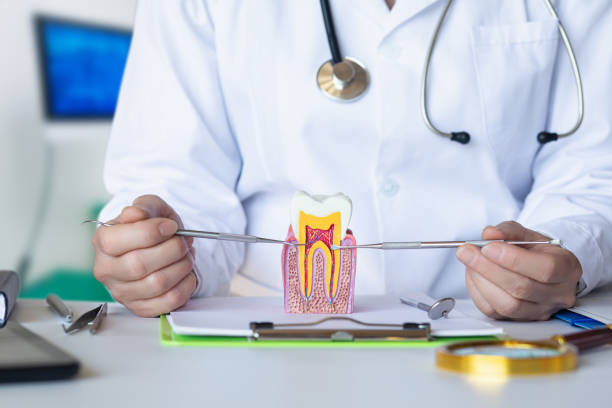 Best Emergency Dental Care for Broken or Chipped Teeth in Miami, AZ